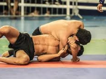 The arts that make MMA