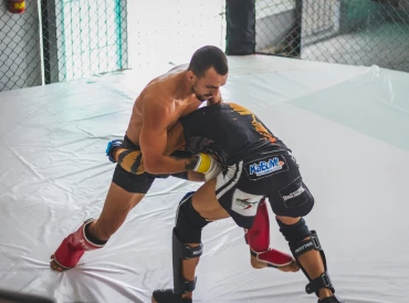 The arts that make MMA :Wrestling